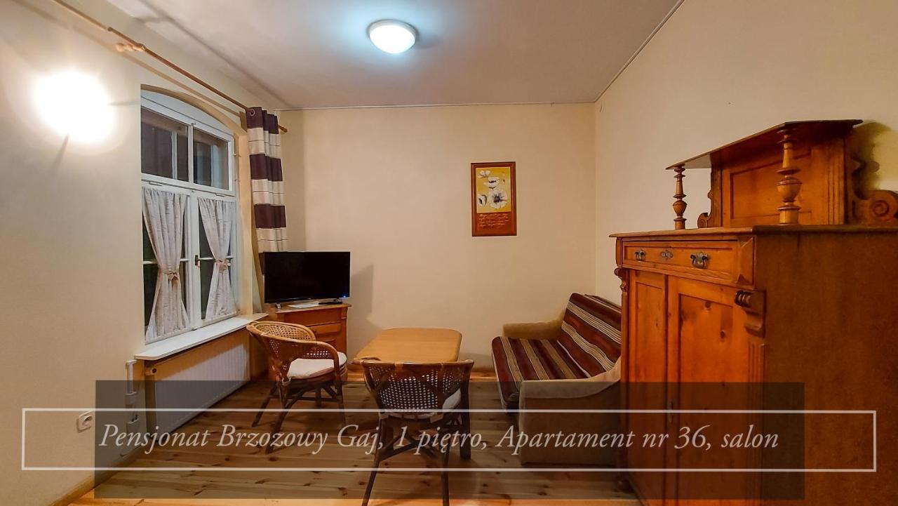 Guest house Brzozowy Gaj - Karpacz