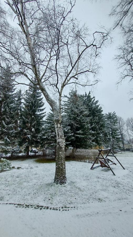 Brzozowy Gaj - Gasthof Karpacz